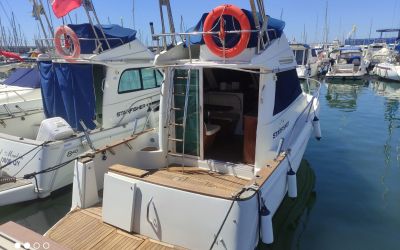 STARFISHER 840