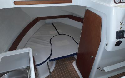 ARVOR 250