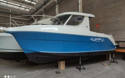 ARVOR 250