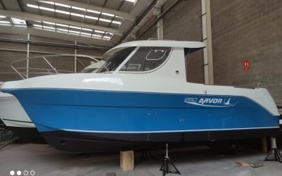 ARVOR 250