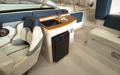 FOUR WINNS SUNDOWNER 265