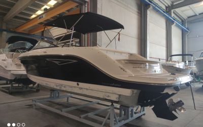SEA RAY SUN SPORT 250