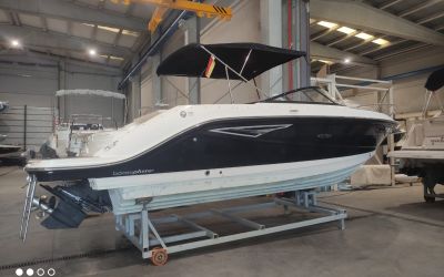 SEA RAY SUN SPORT 250