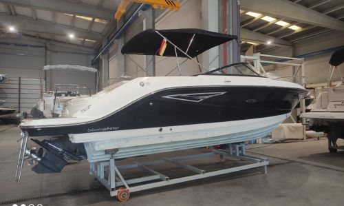 SEA RAY SUN SPORT 250
