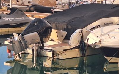 QUICKSILVER ACTIV 805 C