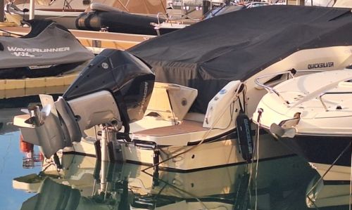 QUICKSILVER ACTIV 805 C