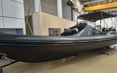 SACS STRIDER 10