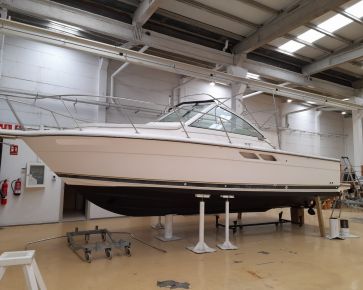 TIARA 29