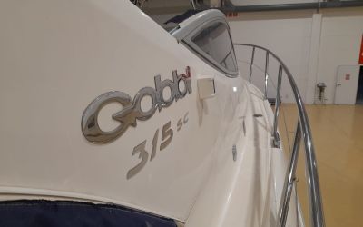 GOBBI 315 SC